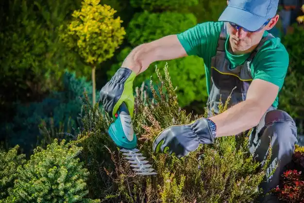 landscaping services Anna